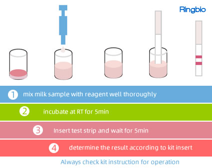 100001 Betalactams&nbsp;antibiotiques Test Kit, RINGBIO Tests de détection de résidus d’antibiotiques